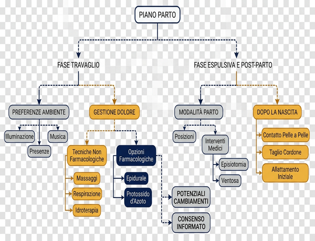 Immagine che mostra schema_piano_parto